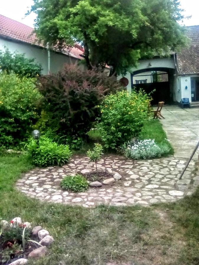 Casa Din Coltul Cetatii Villa Szászhermány Kültér fotó