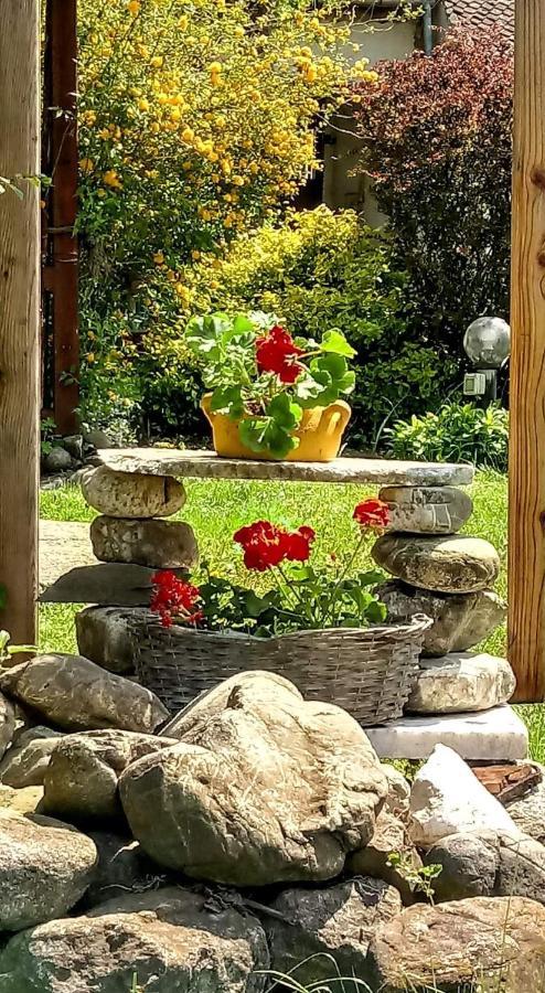 Casa Din Coltul Cetatii Villa Szászhermány Kültér fotó